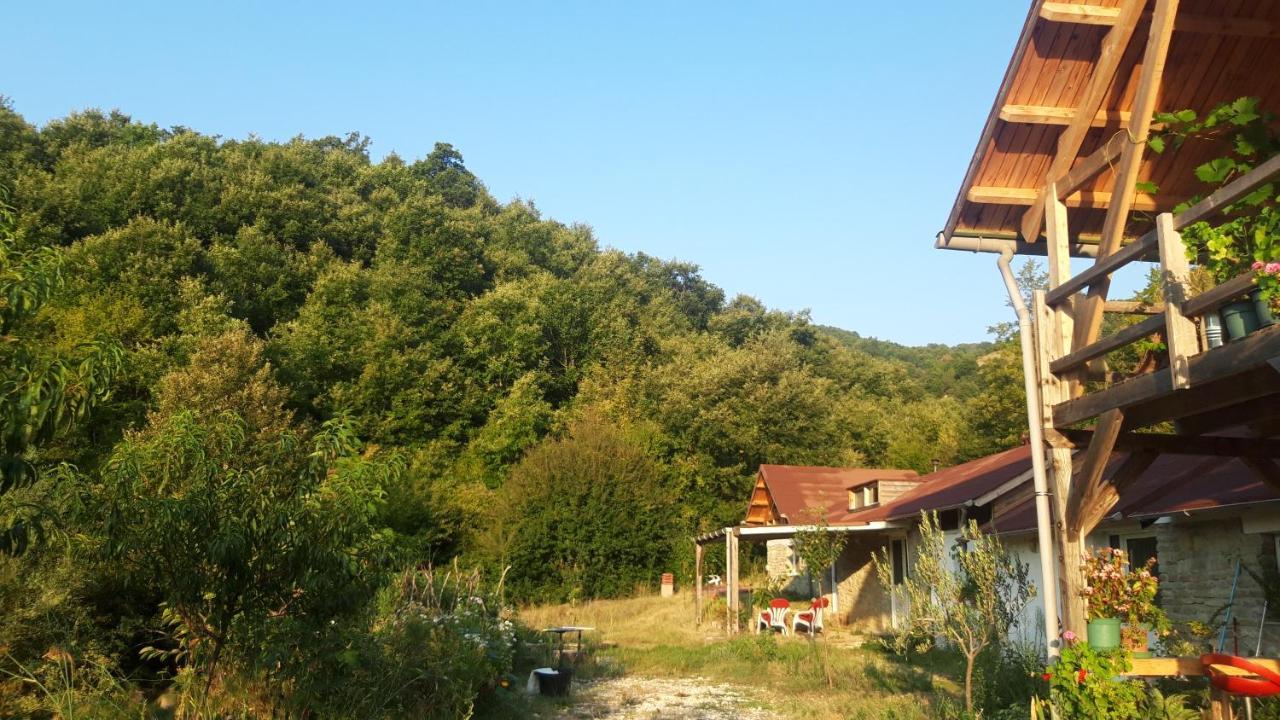 Ferma Albanik Hotel Kelcyre Exterior photo